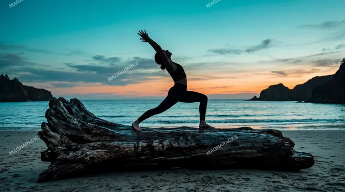 Capoeira Sunset Vol. 1: Dynamic Martial Arts