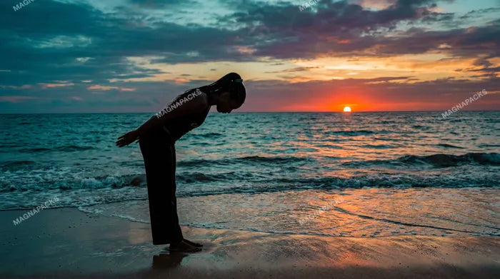 Capoeira Sunset Vol. 1: Dynamic Martial Arts